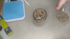 УШИ СВИНЫЕ в автоклаве.mp4