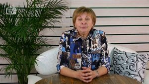 Декоративные кустарники ? Бересклет крылатый ? Обзор растения от эксперта HItsadTV