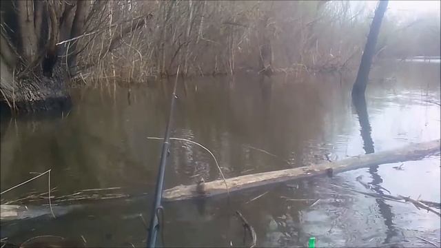 СПАРТАНОВКА