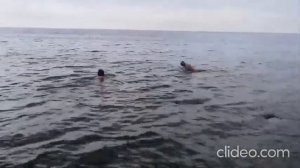 Лодка Братан Тунгуска 500 и баня Мобиба на Байкале.