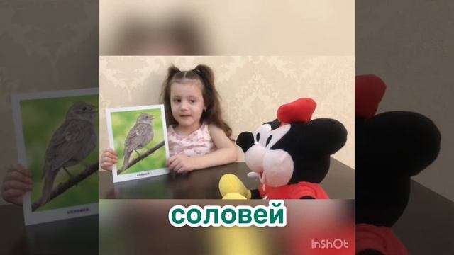 Учим птиц с Фатимосей.Птицы.быстро выучить птиц. смотреть онлайн