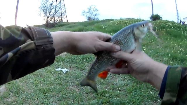 Ловля голавля На Канале!! смотреть онлайн