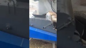 Видео обзор Передвижной зерноочистительной машины ALFA MGC