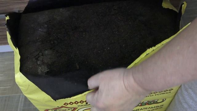 Моя рассада растет на чужой земле...Обзор грунта Двина из Беларуси