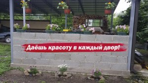 Даешь красоту в каждый двор