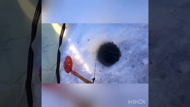 Рыбалка в затоне 2018/12/03 смотреть онлайн