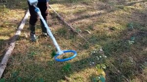 Копаем с металлоискателем пират