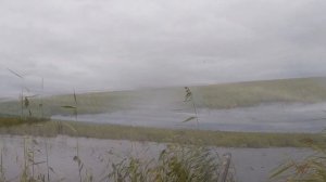 Охота на утку в дельте Селенги 2021