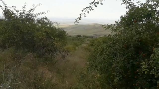 II Bелопробег 2018.Велоклуб " Дружба". смотреть онлайн