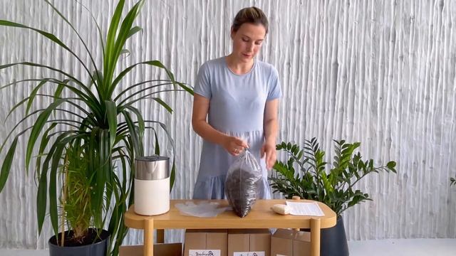Как посадить грибы Эринги