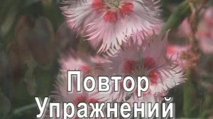 Гимнастика для улучшения мозгового кровообращения