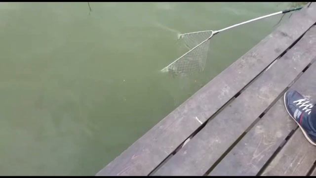 Рибалка на р. Стугна смотреть онлайн