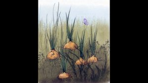 Наволочкин Н Каникулы кота Егора Как искали Галю