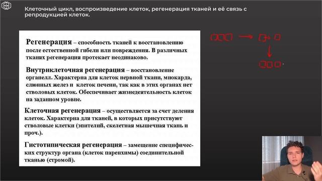 Гистология | ЦИТОЛОГИЯ. Часть 3