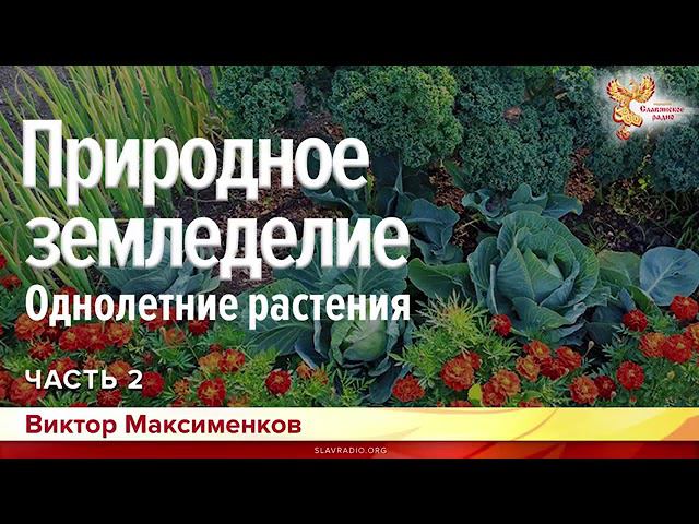 Природное земледелие . Однолетние Растения.  Ответы на вопросы.  Часть 2.