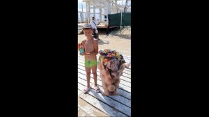 Как я провел лето 2024