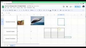 How to Unmerge Cells in Google Sheets (Neat & Easy)