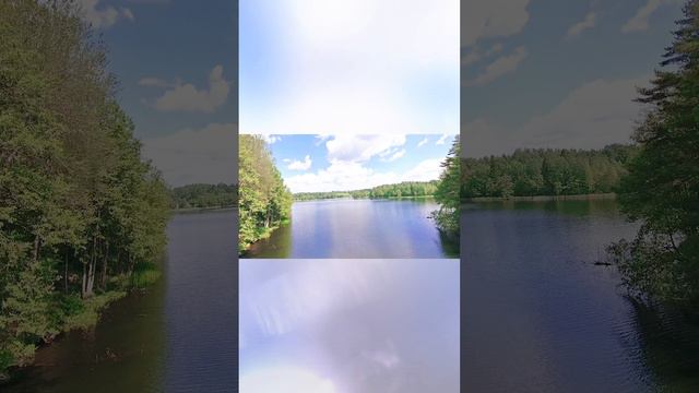 Съемка с птицы