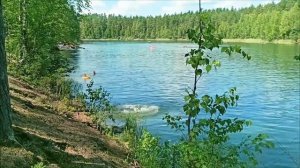 Зелёное озеро в Луге, Ленинградская область