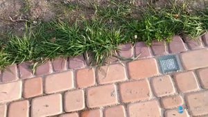Реальный Отзыв о светодиодной брусчатке на солнечных батареях