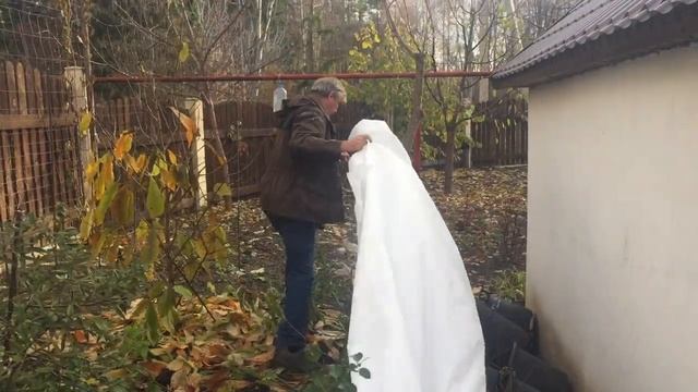 Как укрывать растения на зиму. Первый вариант. смотреть онлайн