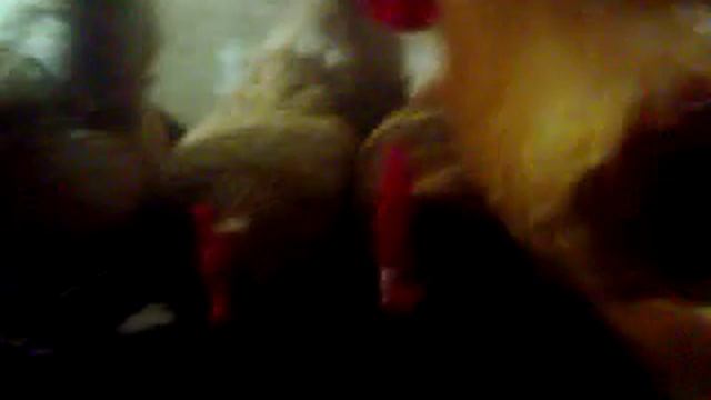 Клеточной содержание кур мини мясные палевые белохвостые. Трава в рационе кур смотреть онлайн