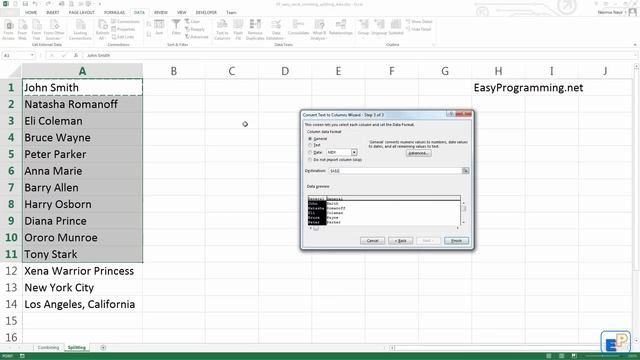 Easy Excel Tutorial - Splitting Data - Text to Columns(11)