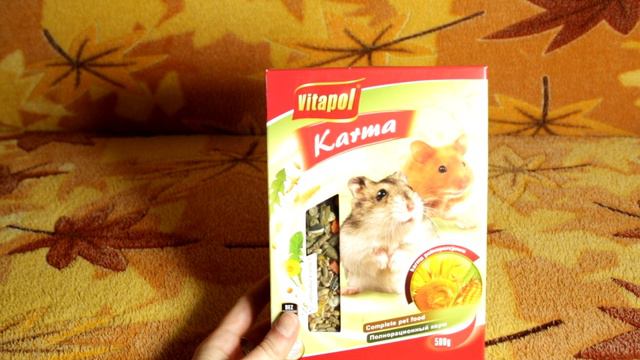 Наводим порядок у хомяка. Моська пробует новый корм! смотреть онлайн