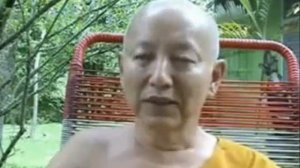 Махаяна и Тхеравада, в чём разница? (Озвученный перевод).