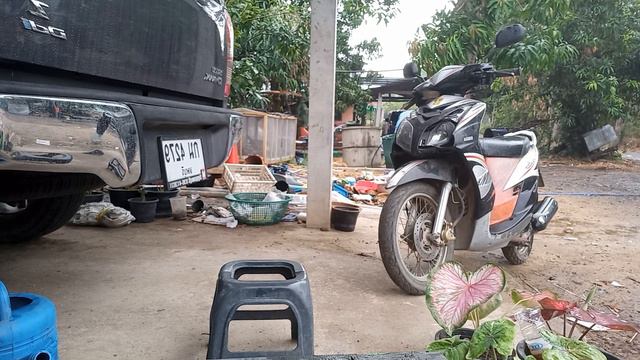 #ขยายว่านแบบง่ายๆ ช่วงอากาศที่เหมาะสม смотреть онлайн