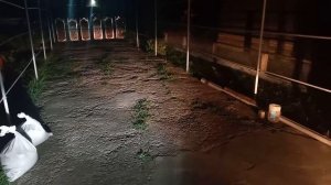 LED H11 в ПТФ PASSAT B7