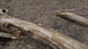 "Рыбалка-Кудьма-Грибы" Выпуск №47.