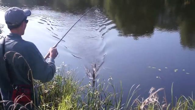 Щука на слайдер размером со слайдер смотреть онлайн