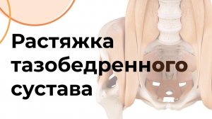 РАСТЯЖКА тазобедренного сустава | Чигарко Д.С.