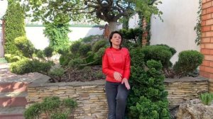 ХВОЙНЫЕ в саду/ Прирост/ Сила роста/ Уход за хвойными