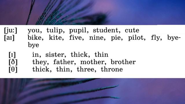Rainbow English 2-2, Step 49, Английский язык 2 класс ч.2, Афанасьева.