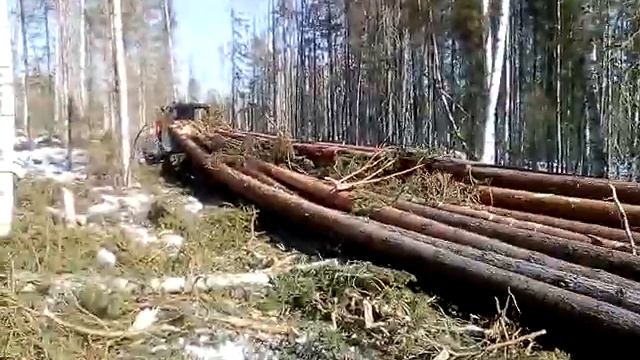 Трелевка леса тт4
