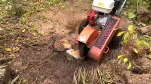 Удаление пней Дробление. Husqvarna sg 13 , stump grinder