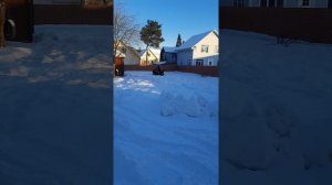 Yamaha grizzly 550 2014