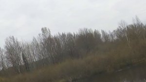 Коллиматорный прицел DOCTER Sight III на МР-153