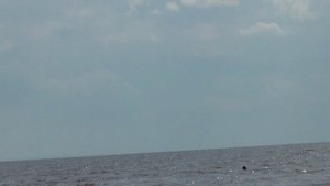 vatravel.ru Белое озеро в п.Липин Бор - Вологодская область