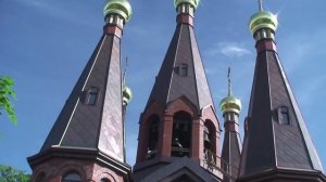 ПОЛИЕЛЕЙНЫЙ ЗВОН