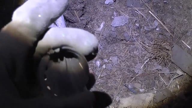 Нашли старинный заброшенный дом.Что внутри?