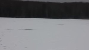 Зимняя ловля леща. Открытие сезона
