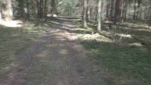 Польза GPS навигатора