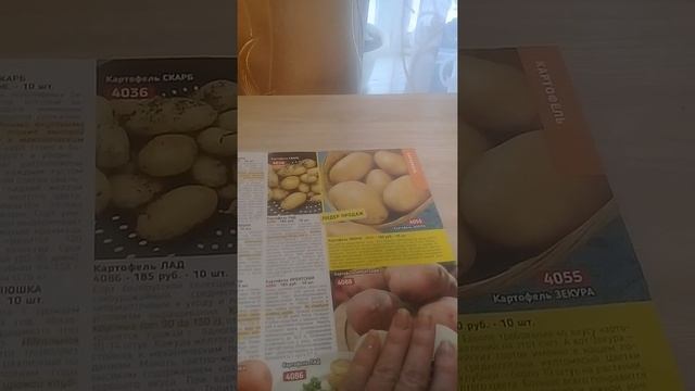 #садыроссии #картофель #ранееутро #бриз #зекура смотреть онлайн