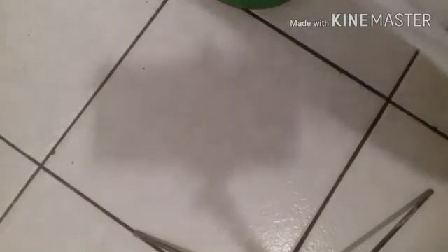 💕🔥САМЫЙ ТОПОВЫЙ СЛАЙМ💕/БОЛЬШОЙ ЛИЗУН💥 смотреть онлайн