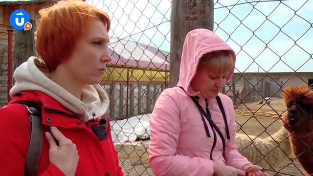 Такой любви от животных вы больше нигде не получите! Жемчужина Урала - Висим