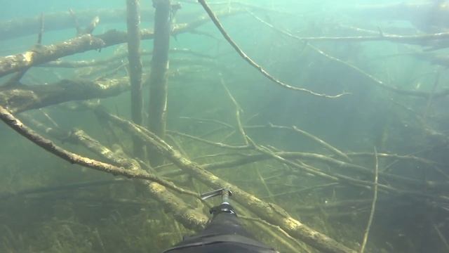 Открытие сезона подводной охоты 2021. Затопленный карьер смотреть онлайн