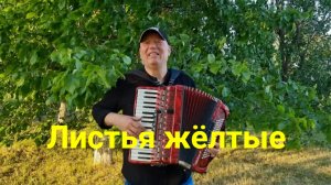 Николай Засидкевич - Листья жёлтые